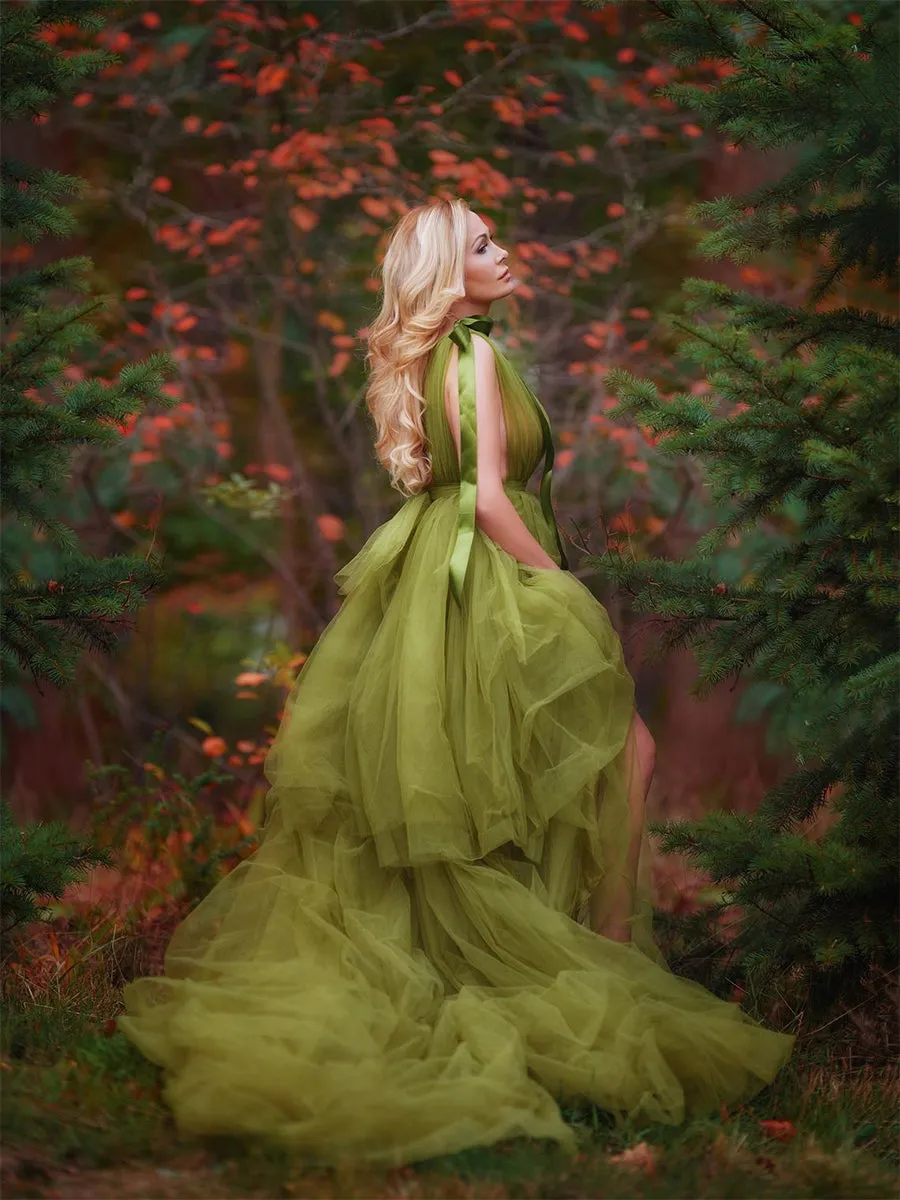Elegant Plunging Neck Sexy Tulle Photo Shoot Dress