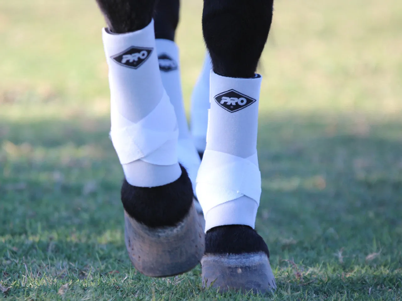Large Front CLOSEOUT Pro Orthopedic H20 Sport Boots