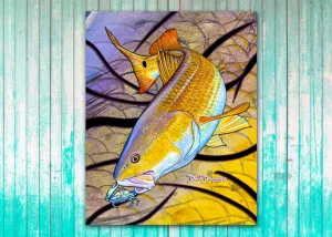 Redfish