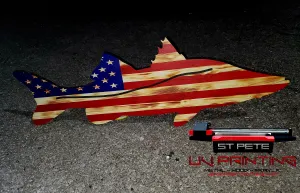 Snook USA